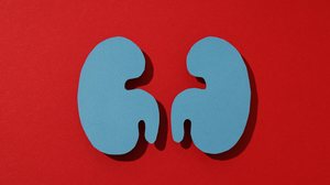 Março Vermelho ganha tom de urgência com projeções da OMS sobre o avanço do câncer renal no Brasil e no mundo (Imagem: AtlasStudio | Shutterstock)