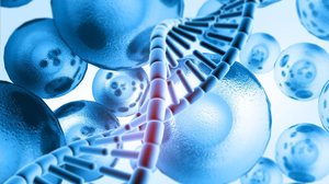 A medicina regenerativa é uma ferramenta eficiente para promover a longevidade articular dos pacientes (Imagem: Explode | Shutterstock)