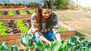 A resposta para o insucesso da sua horta em casa pode estar escondida no solo (Imagem: Joyseulay | Shutterstock)