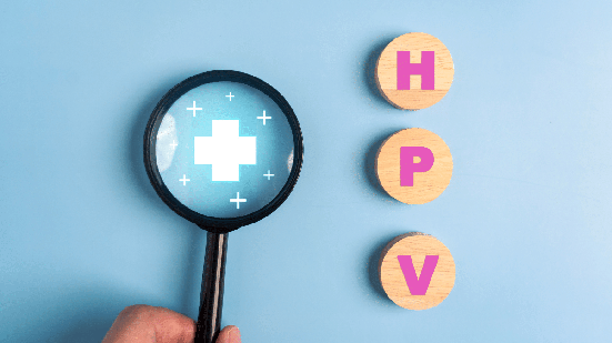 Alguns vírus HPV apresentam baixo risco, enquanto outros se enquadram no grupo de alto risco (Imagem: wutzkohphoto | Shutterstock)