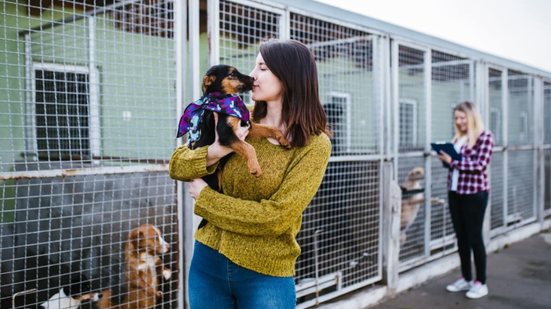 A adoção muda o destino de muitos animais todos os dias (Imagem: hedgehog94 | Shutterstock)