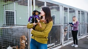 A adoção muda o destino de muitos animais todos os dias (Imagem: hedgehog94 | Shutterstock)