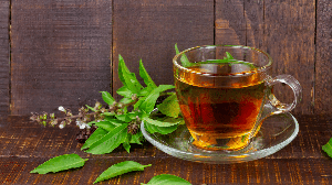 Chá de alfavaca com limão (Imagem: Kulkova Daria | Shutterstock)