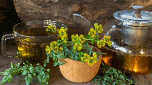 Chá de arruda com hortelã e limão (Imagem: Gaston Cerliani | Shutterstock)