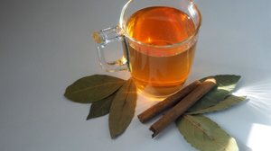 Chá de louro com canela (Imagem: Nick Alias | Shutterstock)