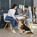 A avaliação nutricional individual é essencial para atender às necessidades específicas de cada pet (Imagem: Studio Romantic | Shutterstock)