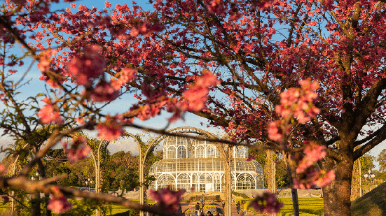 Na primavera, o Brasil floresce e vira o destino perfeito para viajar (Imagem: Pedro Moraes | Shutterstock)