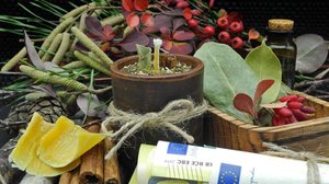 Rituais simples podem ajudar a tornar 2026 um ano mais próspero (Imagem: Yana Bo | Shutterstock)