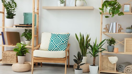 As plantas trazem vida para a decoração e refrescam o ambiente (Imagem: New Africa | Shutterstock)