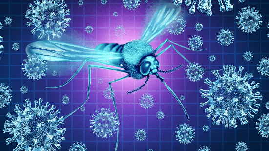 A Febre do Nilo Ocidental é causada por um vírus transmitido pela picada de mosquitos infectados (Imagem: Lightspring | Shutterstock)