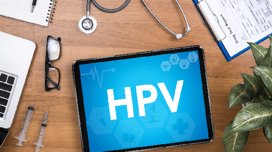 Com mais de 200 tipos, o HPV pode causar diferentes problemas de saúde e apresentar riscos distintos para cada tipo de infecção (Imagem: one photo | Shutterstock)
