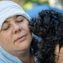 O contato direto e constante dos pets com pacientes oncológicos pode trazer riscos para ambos (Imagem: Mariano Gaspar | Shutterstock)