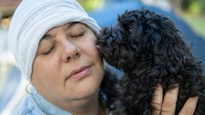 O contato direto e constante dos pets com pacientes oncológicos pode trazer riscos para ambos (Imagem: Mariano Gaspar | Shutterstock)