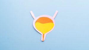 O câncer de bexiga é o terceiro tumor mais comum do trato urinário (Imagem: Orawan Pattarawimonchai | Shutterstock)