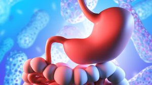 O calor intenso e as aglomerações durante o Carnaval favorecem a proliferação de bactérias que podem causar a gastroenterite (Imagem: 
FOTOGRIN | Shutterstock)