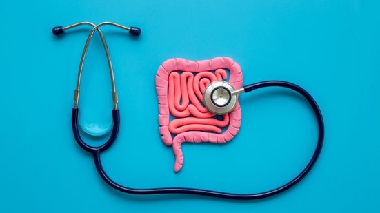 O intestino exerce papel fundamental na imunidade, na absorção de nutrientes e na qualidade de vida. (Imagem: 9dream studio | Shutterstock)