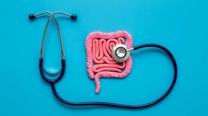 O intestino exerce papel fundamental na imunidade, na absorção de nutrientes e na qualidade de vida. (Imagem: 9dream studio | Shutterstock)