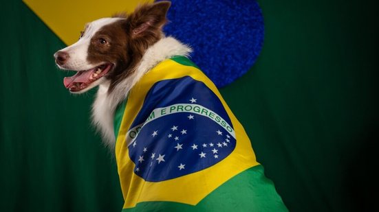 Alguns craques da Seleção Brasileira deixaram seu legado dentro de campo e podem inspirar nomes cheios de personalidade para o seu cachorro (Imagem: Wirestock Creators | Shutterstock)