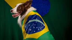 Alguns craques da Seleção Brasileira deixaram seu legado dentro de campo e podem inspirar nomes cheios de personalidade para o seu cachorro (Imagem: Wirestock Creators | Shutterstock)