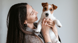 Observar o comportamento dos pets pode ajudar os tutores a perceber sinais de dor e alterações na saúde (Imagem: evrymmnt | Shutterstock)