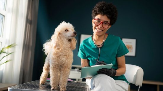 Um histórico veterinário organizado pode ajudar na prevenção de doenças, no diagnóstico precoce e na tomada de decisões mais seguras em situações de urgência (Imagem: Videophilia | Shutterstock)