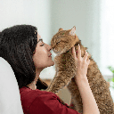 Cada interação pode contribuir para a construção de uma relação de confiança entre o animal e o tutor (Imagem: Hananeko_Studio | Shutterstock)