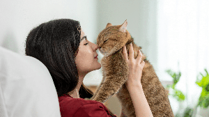 Cada interação pode contribuir para a construção de uma relação de confiança entre o animal e o tutor (Imagem: Hananeko_Studio | Shutterstock)