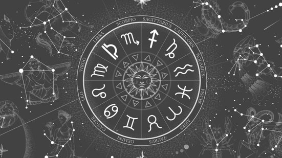 Cada signo traz uma maneira única de lidar com trabalho, desde a organização até a busca por reconhecimento e crescimento (Imagem: mountain beetle | Shutterstock)