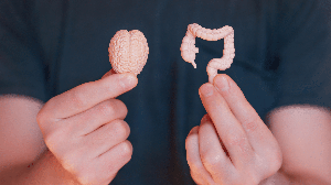 Relação entre cérebro intestino ajuda a explicar por que períodos de maior estresse, ansiedade e tensão emocional podem provocar alterações digestivas (Imagem: Chizhevskaya Ekaterina | Shutterstock)