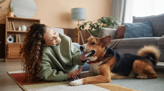 Vai escolher o nome do cachorro? Veja opções bíblicas e seus significados