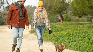 Adaptar a rotina dos passeios é essencial para reduzir o impacto do frio na saúde dos cães (Imagem: Victor Canales Studio | Shutterstock)