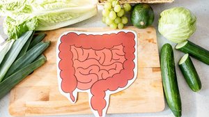 Alimentação e hábitos do dia a dia podem impactar a saúde do intestino (Imagem: RossHelen | Shutterstock)