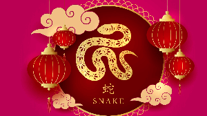 O signo da Serpente é conhecido por sua astúcia e sabedoria (Imagem: John Hong | Shutterstock)