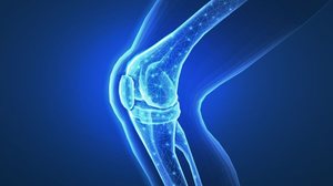 A artrite séptica é uma doença causada por bactérias que afetam a articulação (Imagem: CoreDESIGN | Shutterstock)