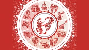 Outubro traz a influência do Cachorro, um signo criativo, leal e pacífico (Imagem: sunlight77 | Shutterstock)