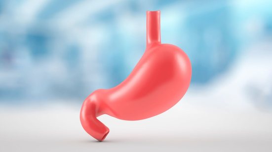 O consumo de frutas e vegetais tem efeito protetor contra o câncer de estômago (Imagem: Antonio Marca | Shutterstock)