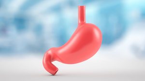 O consumo de frutas e vegetais tem efeito protetor contra o câncer de estômago (Imagem: Antonio Marca | Shutterstock)