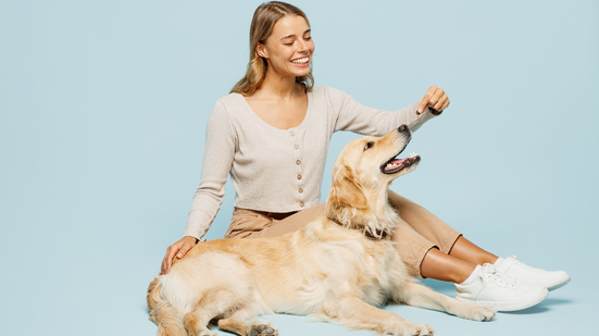 Com alguns cuidados, é possível manter os petiscos na dieta de cães com alergias (Imagem: ViDI Studio | Shutterstock)