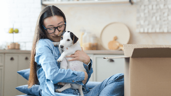 A chegada de um pet adotado pede adaptação, paciência e novos hábitos na rotina (Imagem: voronaman | Shutterstock)