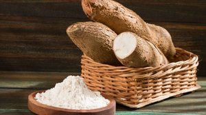 A mandioca é um alimento versátil que tem grande valor nutricional (Imagem: Luis Echeverri Urrea | Shutterstock)