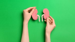 Hábitos ao longo da vida impactam a saúde renal (Imagem: Pixel-Shot | Shutterstock)