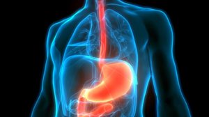 O câncer de esôfago evolui rapidamente e de forma silenciosa (Imagem: Magic mine | Shutterstock)