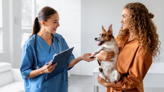 Os cuidados com a saúde dos pets ajudam a prevenir as zoonoses (Imagem: Prostock-studio | Shuttestock)