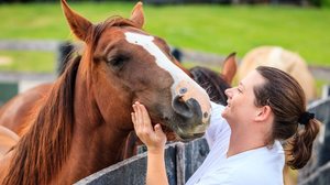 A equoterapia beneficia a saúde física e mental (Imagem: Alexey Stiop | Shutterstock)