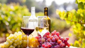 O vinho pode trazer diversos benefícios para a saúde física e emocional (Imagem: Caftor | Shutterstock)