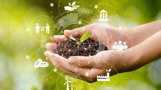 A ecologia é a ciência que estuda as relações entre os seres vivos e o ambiente em que vivem (Imagem: dee karen | Shutterstock)