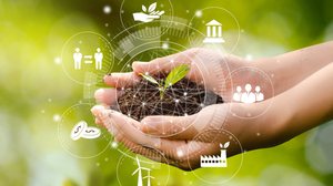 A ecologia é a ciência que estuda as relações entre os seres vivos e o ambiente em que vivem (Imagem: dee karen | Shutterstock)