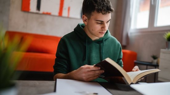 Organizar os estudos é o primeiro passo para alcançar bons resultados nos vestibulares (Imagem: Miljan Zivkovic | Shutterstock)