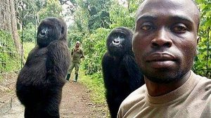 Mathieu Shamavu / www.virunga.org