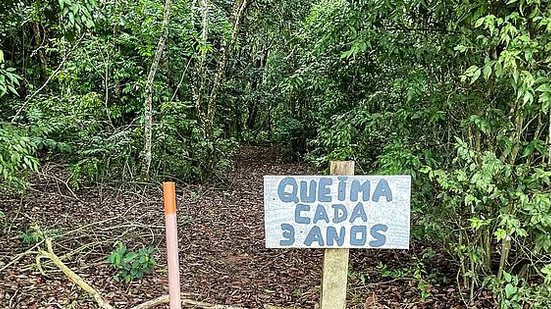 Fabiola Sinimbu/Agência Brasil